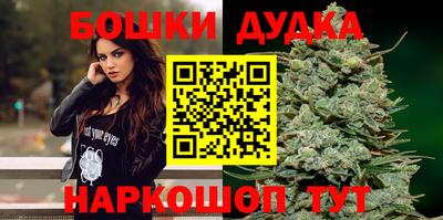 дживик Новодвинск