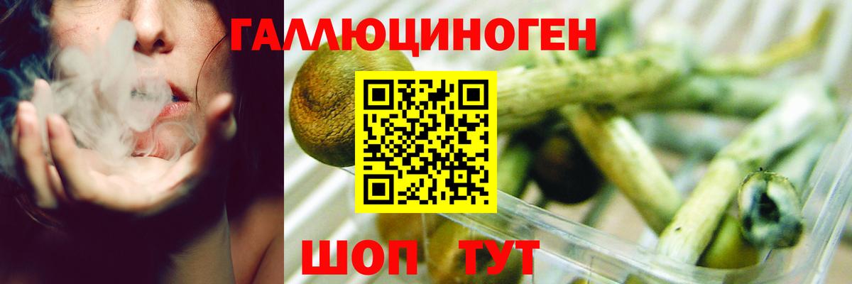 Псилоцибиновые грибы ЛСД Алейск